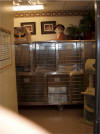 Your pet will be pampered while being groomed.  Our professional groomer, Christy has years of experience.
