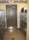 Your pet will be pampered while being groomed.  Our professional groomer, Christy has years of experience.