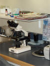Our laboratory facility has the most modern up-to-date equipment, to help diagnose your pets health issues accurately.